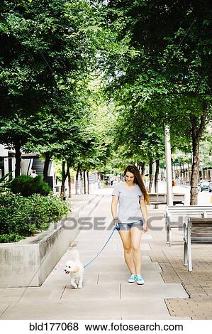 Caucasian woman walking dog in park View Large Photo Image Stock Photo - Caucasian woman walking dog in park. Fotosearch