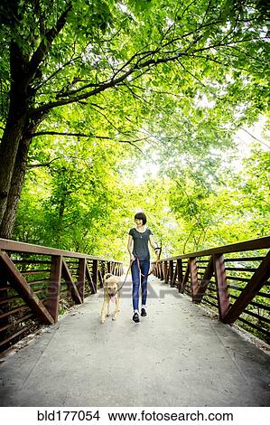 Picture - Caucasian woman walking dog on bridge. Fotosearch