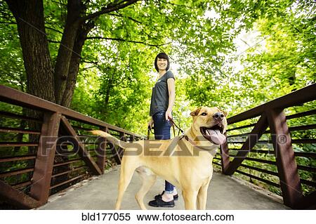 Stock Photography - Caucasian woman walking dog on bridge. Fotosearch