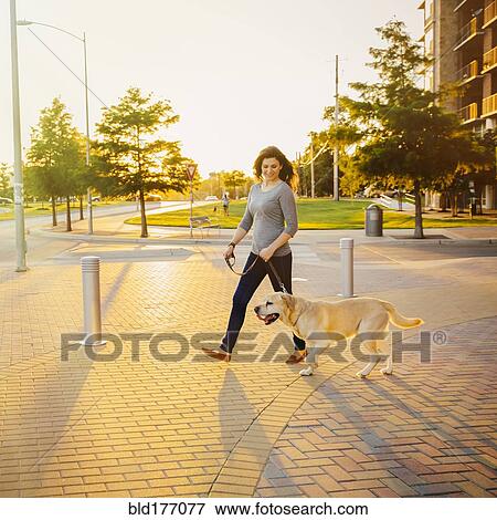 Stock Photo - Caucasian woman walking dog on sidewalk. Fotosearch