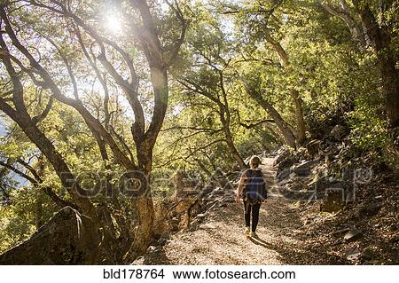 Caucasian woman walking in forest View Large Photo Image Picture - Caucasian woman walking in forest. Fotosearch
