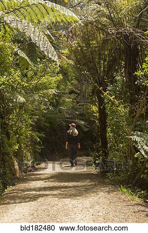Stock Image - Caucasian woman walking on path in rural forest. Fotosearch