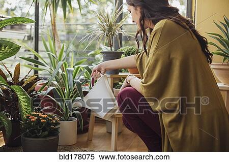 Caucasian woman watering potted plants View Large Photo Image Stock Photography - Caucasian woman watering potted plants. Fotosearch