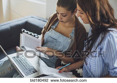 Caucasian women studying on sofa View Large Photo Image Stock Image - Caucasian women studying on sofa. Fotosearch