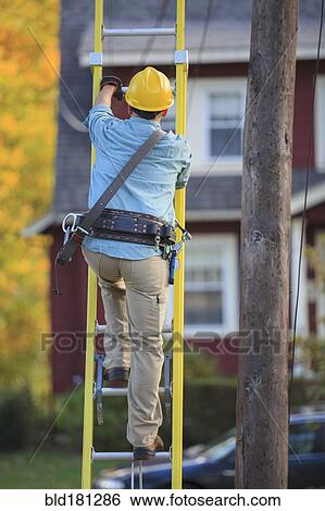 Caucasian worker climbing ladder at tree View Large Photo Image Stock Photograph - Caucasian worker climbing ladder at tree. Fotosearch