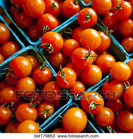 Close up of baskets of tomatoes View Large Photo Image Stock Image - Close up of baskets of tomatoes. Fotosearch