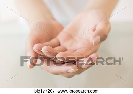 Close up of cupped hands of Hispanic woman View Large Photo Image Stock Photo - Close up of cupped hands of Hispanic woman. Fotosearch