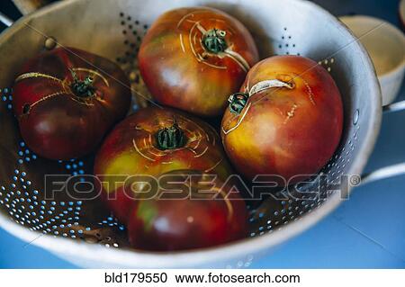 Close up of fresh tomatoes in colander View Large Photo Image Stock Image - Close up of fresh tomatoes in colander. Fotosearch