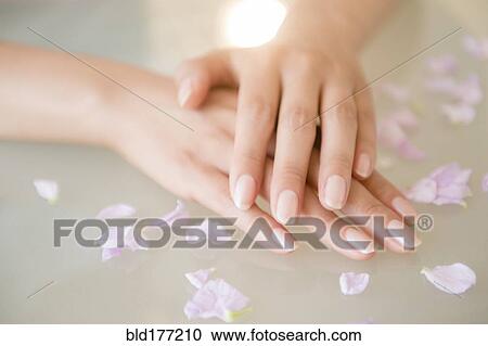 Close up of hands of Hispanic woman View Large Photo Image Stock Image - Close up of hands of Hispanic woman. Fotosearch