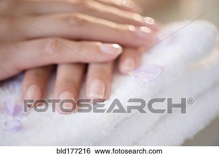 Close up of hands of Hispanic woman View Large Photo Image Stock Photograph - Close up of hands of Hispanic woman. Fotosearch