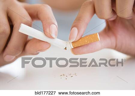 Stock Photo - Close up of Hispanic woman breaking cigarette. Fotosearch