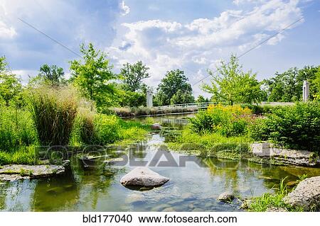 Cloudy sky over swamp grass View Large Photo Image Stock Image - Cloudy sky over swamp grass. Fotosearch