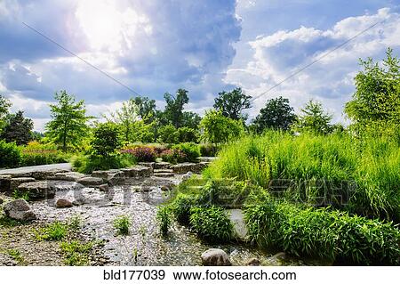 Stock Photo - Cloudy sky over swamp grass. Fotosearch