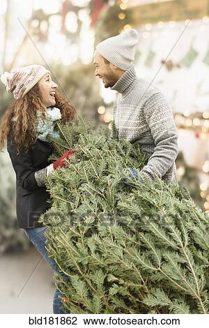 Stock Image - Couple hauling tree at Christmas tree farm. Fotosearch