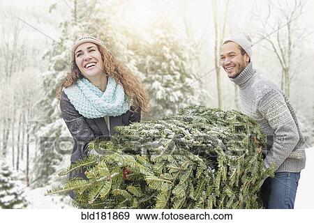 Stock Photo - Couple hauling tree at Christmas tree farm. Fotosearch