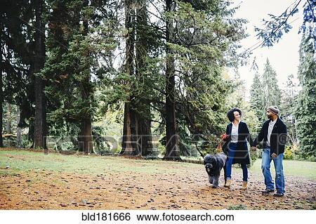 Stock Photograph - Couple walking dog in park. Fotosearch