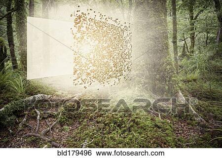 Stock Photograph - Digital cube exploding in forest. Fotosearch