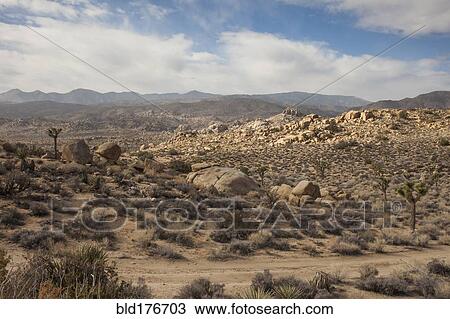 Stock Image - Dirt road in remote desert landscape. Fotosearch
