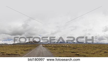 Stock Photo - Empty road in remote landscape. Fotosearch