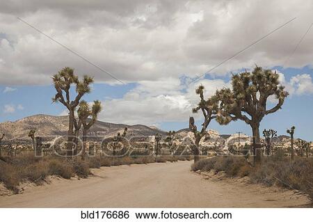 Stock Photograph - Empty road in rural desert landscape. Fotosearch