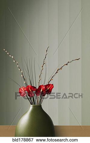 Flowers blooming in modern vase View Large Photo Image Stock Photo - Flowers blooming in modern vase. Fotosearch