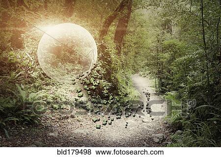 Stock Photo - Globe glowing in forest. Fotosearch
