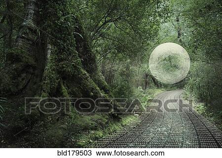 Glowing orb floating in forest over binary code path View Large Photo Image Stock Image - Glowing orb floating in forest over binary code path. Fotosearch
