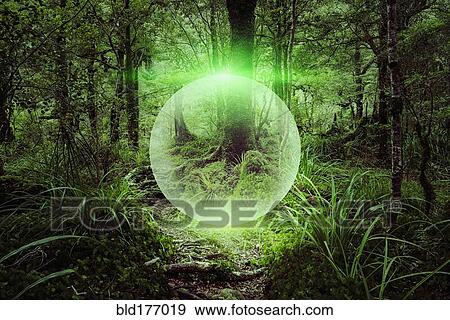 Glowing sphere floating in forest View Large Photo Image Stock Photo - Glowing sphere floating in forest. Fotosearch