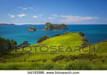 Stock Photograph - Grassy cliff and remote seascape. Fotosearch