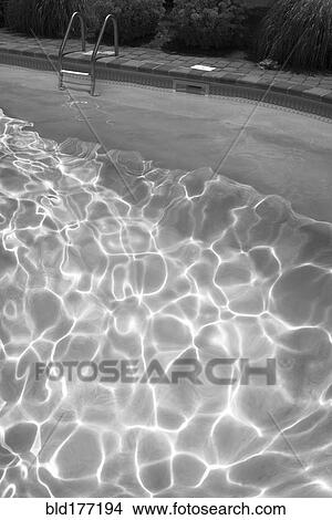 Picture - High angle view of sunbeams in swimming pool. Fotosearch