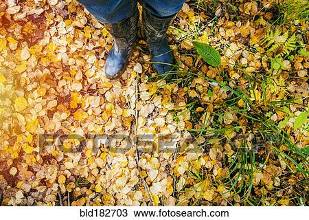 Stock Image - High angle view of woman standing in autumn leaves. Fotosearch