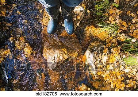 High angle view of woman standing in autumn leaves View Large Photo Image Stock Photography - High angle view of woman standing in autumn leaves. Fotosearch