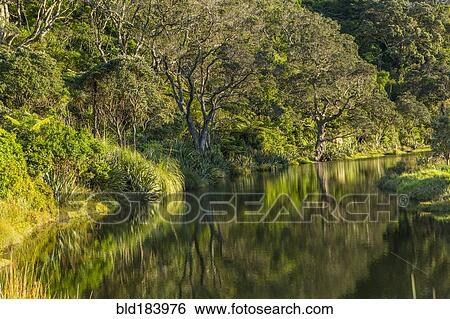 Stock Photograph - Hillside and trees reflecting in remote river. Fotosearch