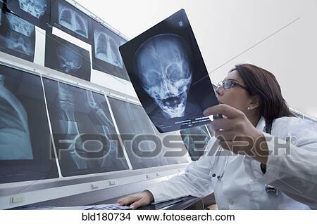 Picture - Hispanic doctor examining x-rays in hospital. Fotosearch