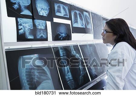 Hispanic doctor examining x-rays in hospital View Large Photo Image Stock Image - Hispanic doctor examining x-rays in hospital. Fotosearch