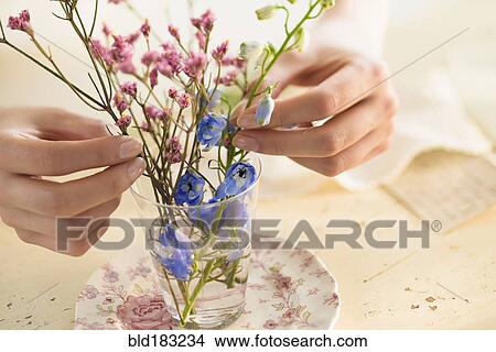 Hispanic woman arranging flowers in glass cup View Large Photo Image Picture - Hispanic woman arranging flowers in glass cup. Fotosearch