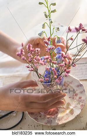 Stock Photography - Hispanic woman arranging flowers in glass cup. Fotosearch