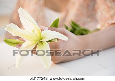 Stock Image - Hispanic woman holding flowers. Fotosearch