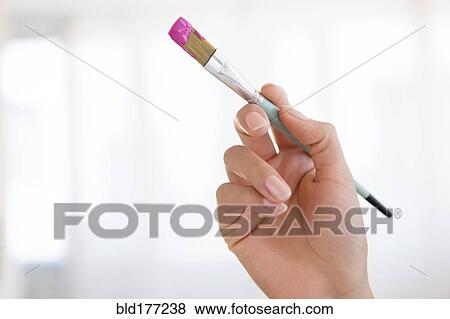 Stock Photo - Hispanic woman holding paintbrush. Fotosearch