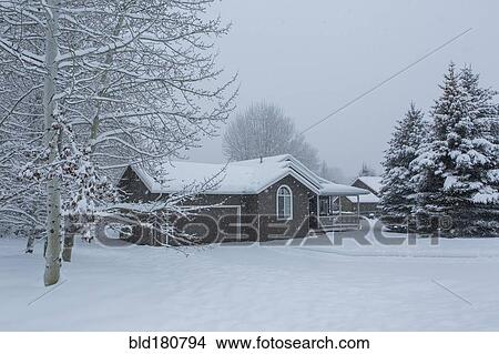 House and snowy front yard View Large Photo Image Picture - House and snowy front yard. Fotosearch