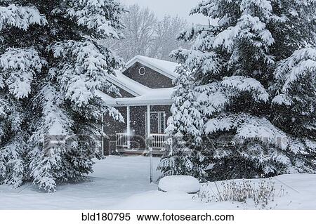 Stock Photography - House and trees in snowy front yard. Fotosearch