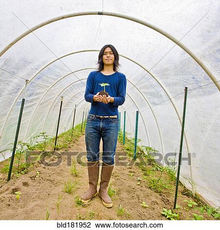 Stock Image - Japanese gardener holding potted plant in greenhouse. Fotosearch