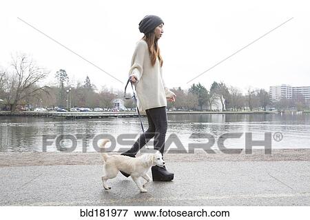 Japanese woman walking dog near lake View Large Photo Image Stock Photo - Japanese woman walking dog near lake. Fotosearch