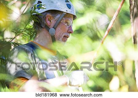Stock Photo - Logger wearing helmet in tree. Fotosearch