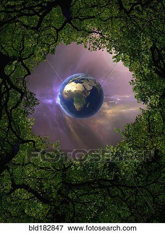 Stock Photo - Low angle view of Earth, night sky and tree canopy. Fotosearch