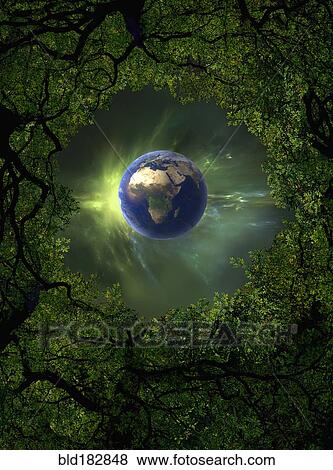 Low angle view of Earth, night sky and tree canopy View Large Photo Image Stock Photo - Low angle view of Earth, night sky and tree canopy. Fotosearch
