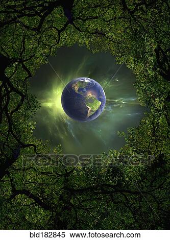 Low angle view of Earth, night sky and tree canopy View Large Photo Image Stock Photography - Low angle view of Earth, night sky and tree canopy. Fotosearch