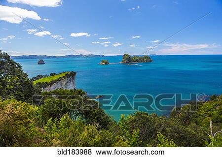 Lush cliff and remote seascape View Large Photo Image Stock Photo - Lush cliff and remote seascape. Fotosearch