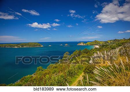Stock Photo - Lush cliff and remote seascape. Fotosearch