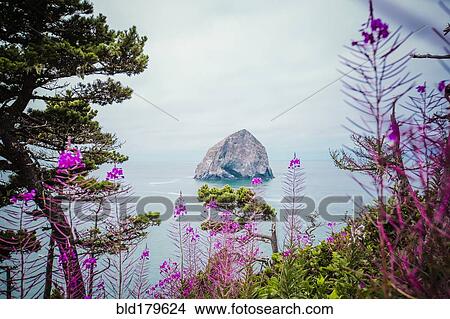 Picture - Lush hillside over sea stack in ocean. Fotosearch